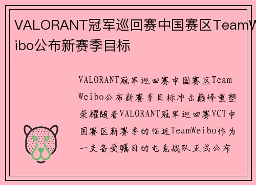 VALORANT冠军巡回赛中国赛区TeamWeibo公布新赛季目标