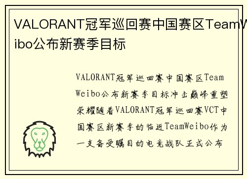 VALORANT冠军巡回赛中国赛区TeamWeibo公布新赛季目标